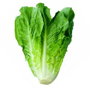 Lechuga Costina - Unidad