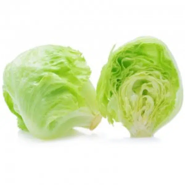 CAJA DE LECHUGA ESCAROLA